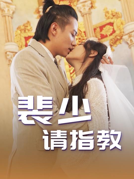 裴少请指教封面