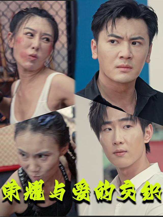 荣耀与爱的交织封面