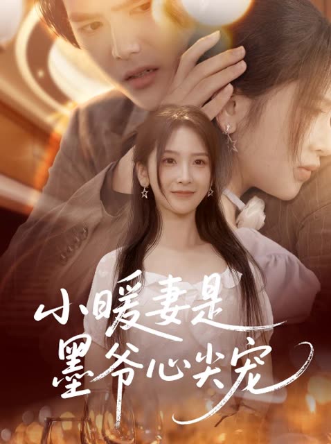 小暖妻是墨爷心尖宠封面