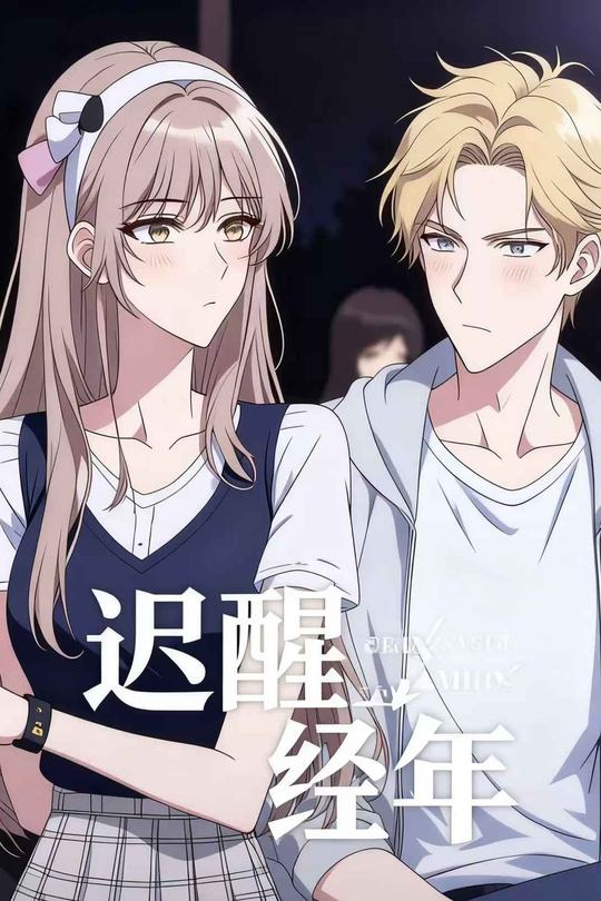 迟醒经年封面