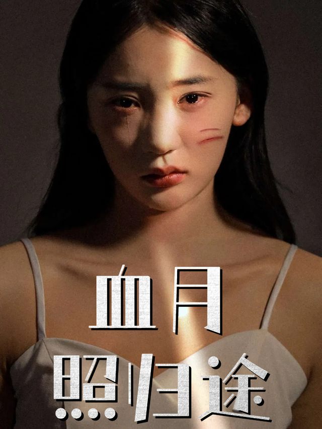 血月照归途封面