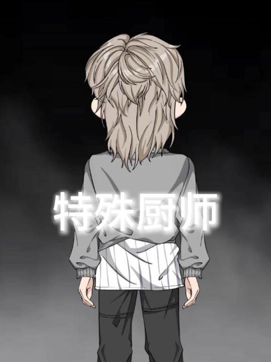 特殊厨师封面
