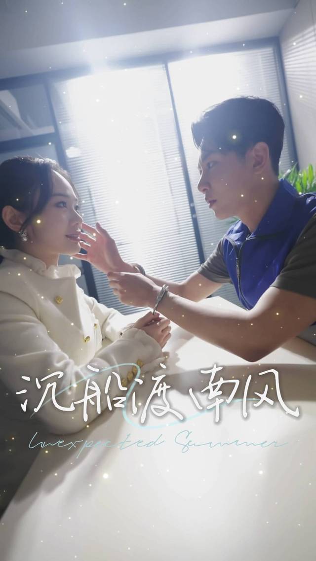 沉船渡南风封面