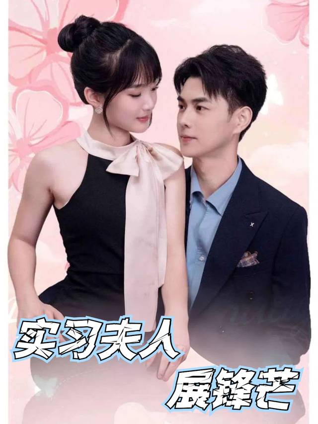 实习夫人展锋芒封面