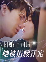 闪婚上司后她被掐腰狂宠封面
