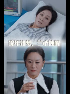 锦年错梦,兰心独醒封面