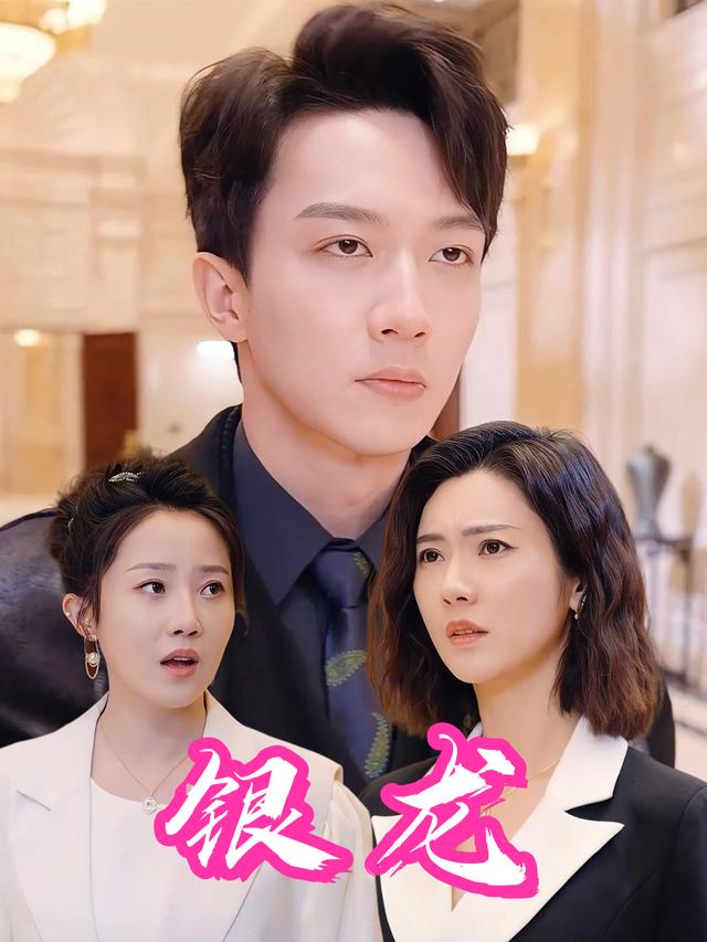 银龙封面