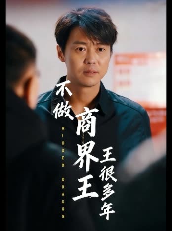 不做商界王王很多年封面