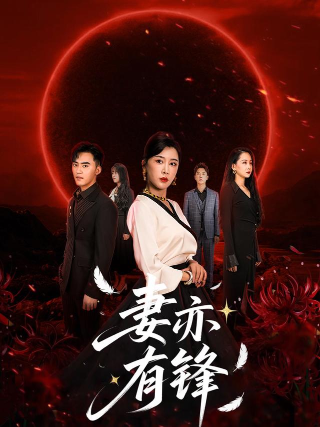 妻亦有锋封面