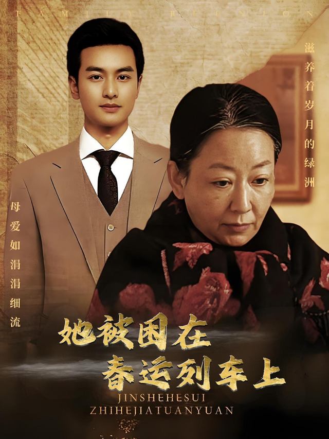 她被困在春运列车上封面