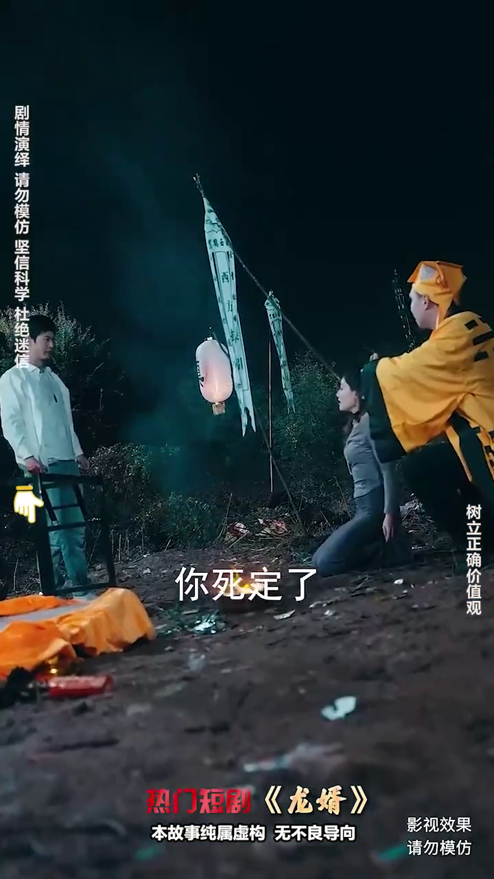 龙婿封面