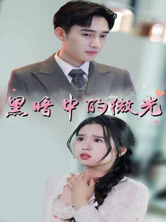 黑暗中的微光封面