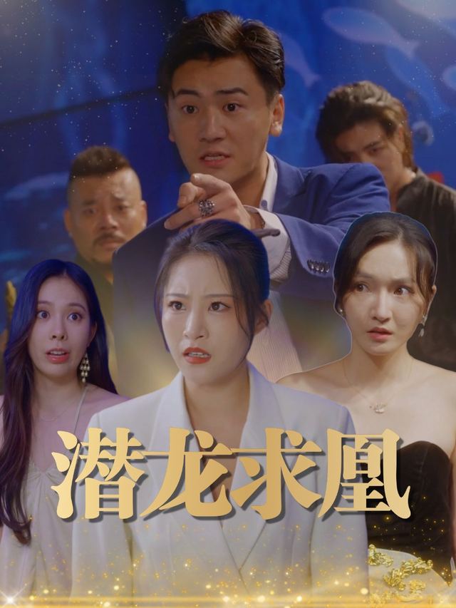 潜龙求凰封面