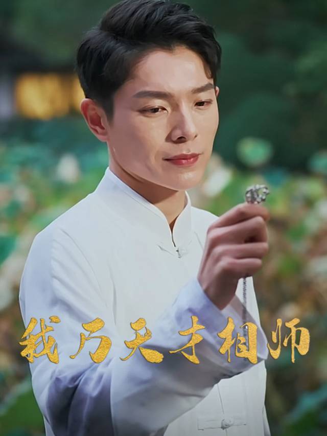 我乃天才相师封面