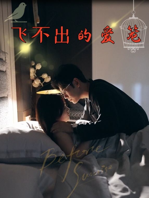 飞不出的爱笼封面