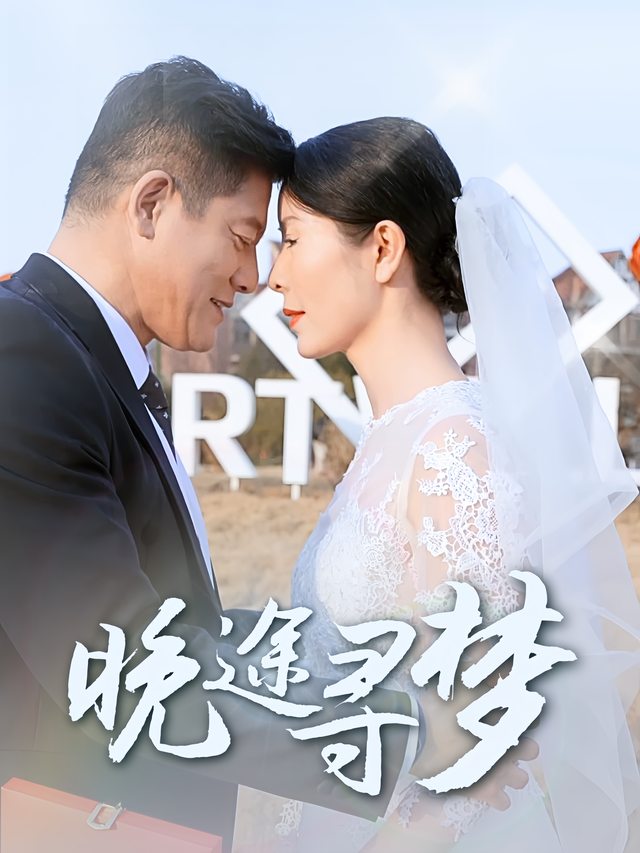 晚途寻梦封面