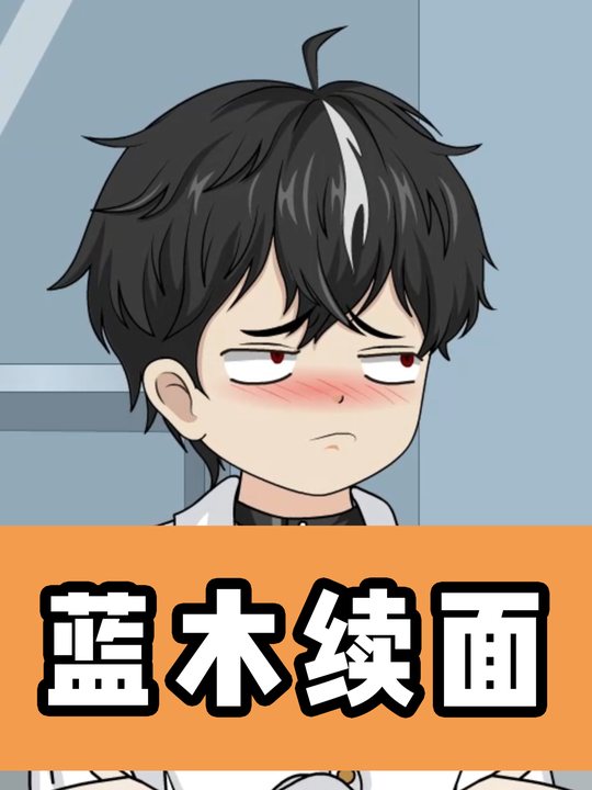 蓝木续面封面