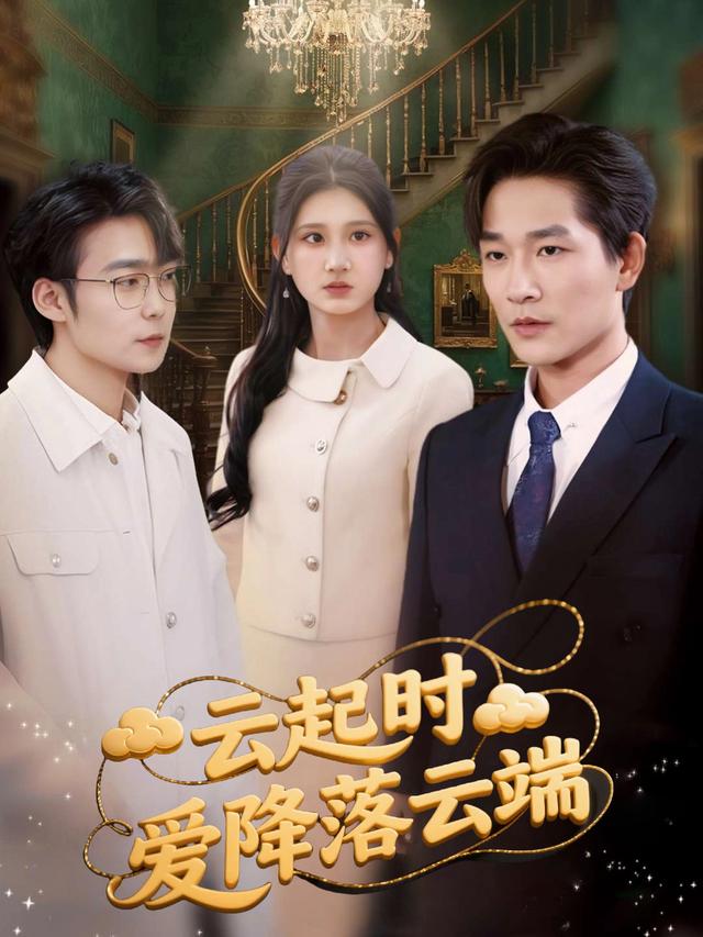 云起时,爱降落云端封面
