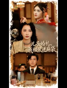儿子婚礼,我被装进麻袋封面