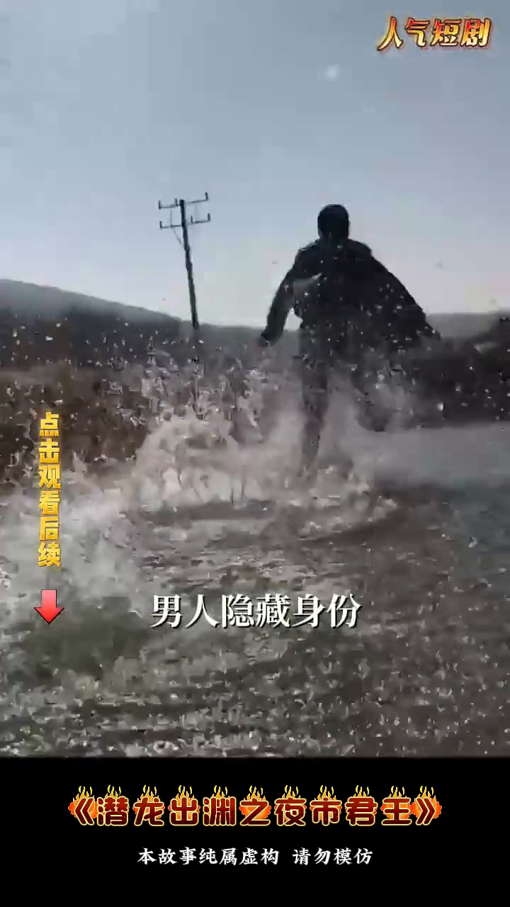 潜龙出渊之夜市君主封面