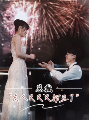 总裁,夫人又又又扮丑了封面