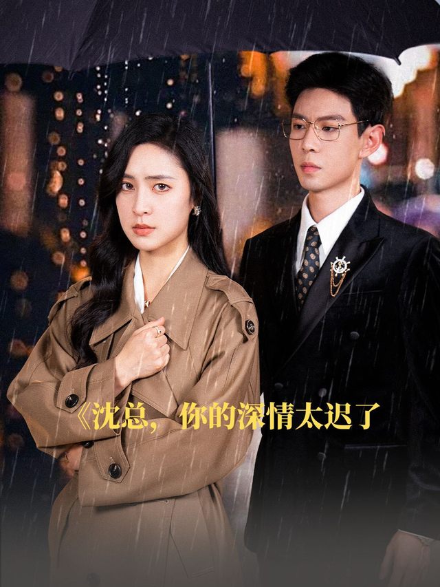 沈总,你的深情太迟了封面