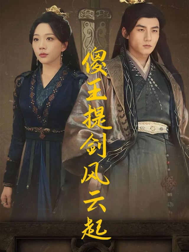 傻王提剑风云起封面