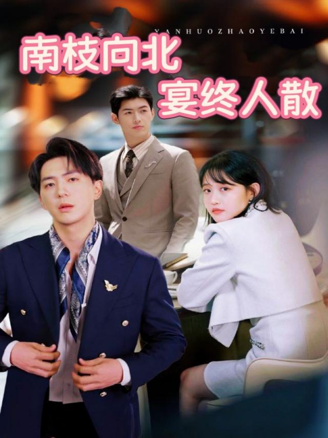 南枝向北 宴终人散封面