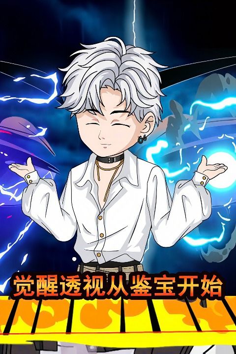 觉醒透视从鉴宝开始封面