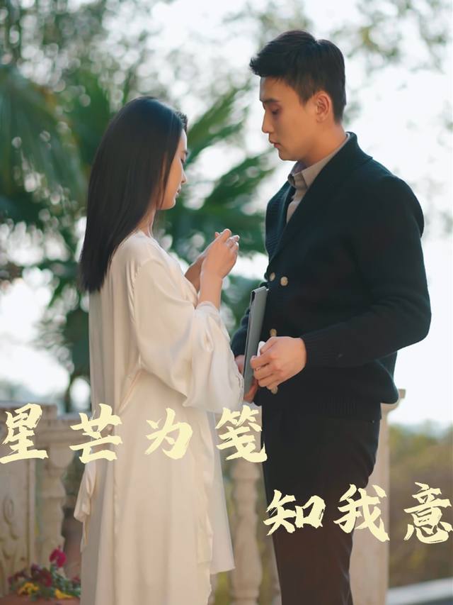 星芒为笺知我意封面