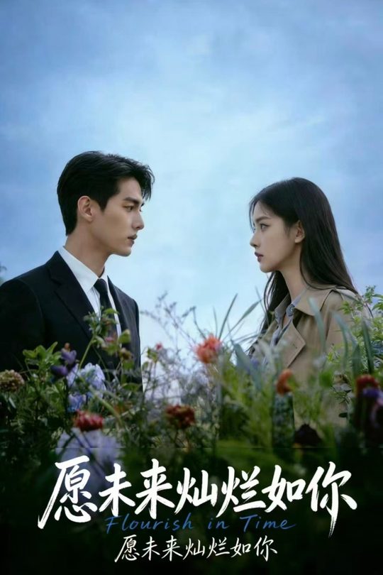愿未来灿烂如你封面