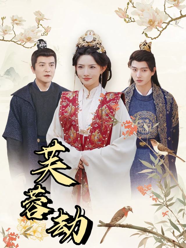 芙蓉劫封面
