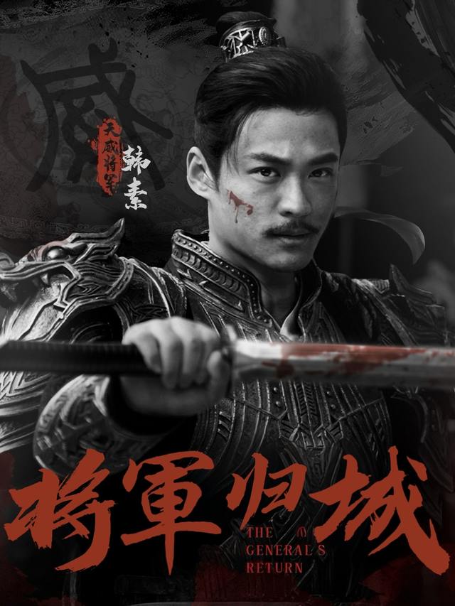 将军归城封面