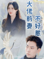 大佬前妻不好惹封面