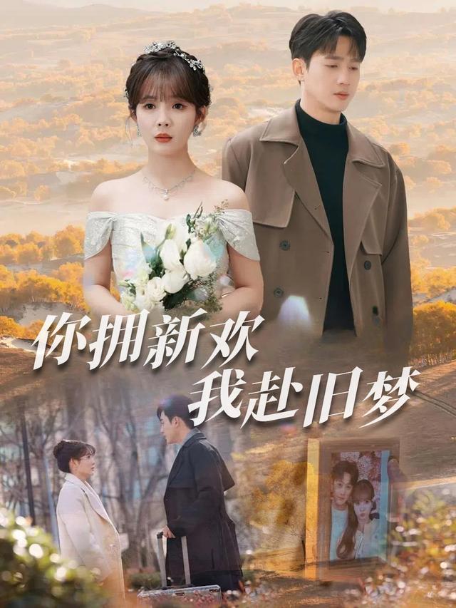 你拥新欢我赴旧梦封面