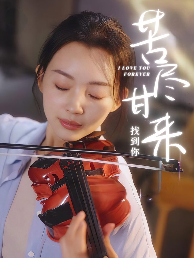 苦尽甘来找到你封面