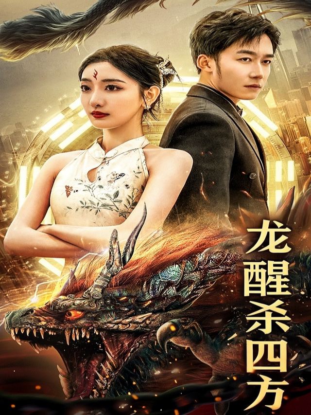 龙醒杀四方封面