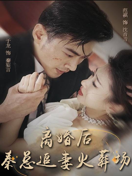 离婚后,秦总追妻火葬场封面