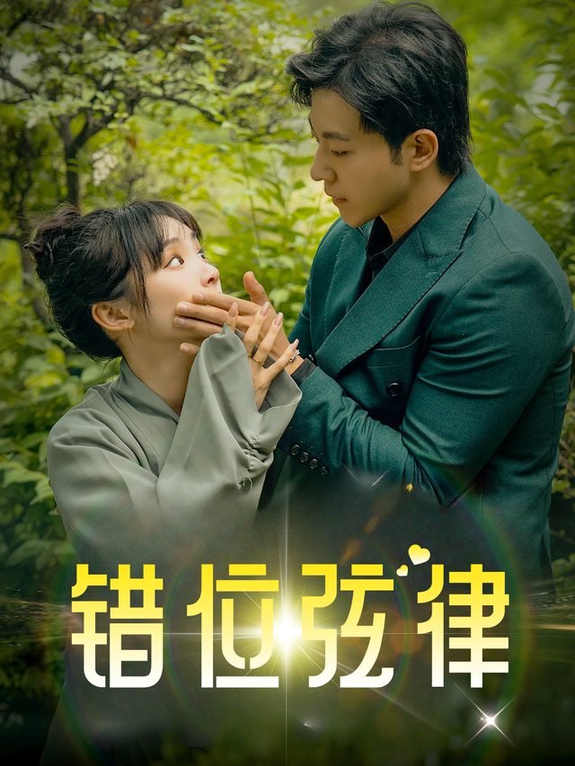 错位弦律封面