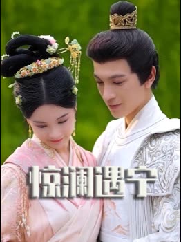 惊澜遇宁封面