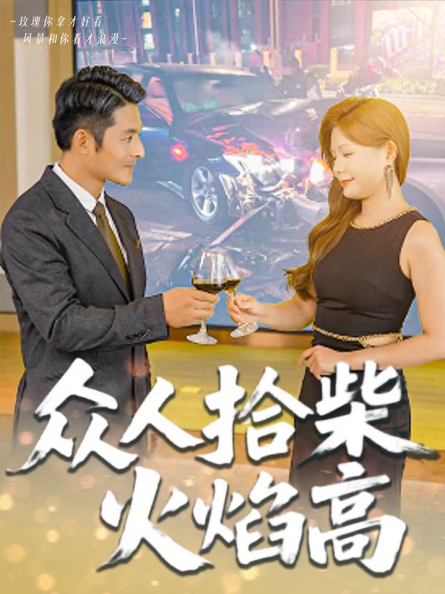 众人拾柴火焰高封面