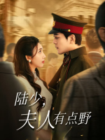 陆少,夫人有点野封面