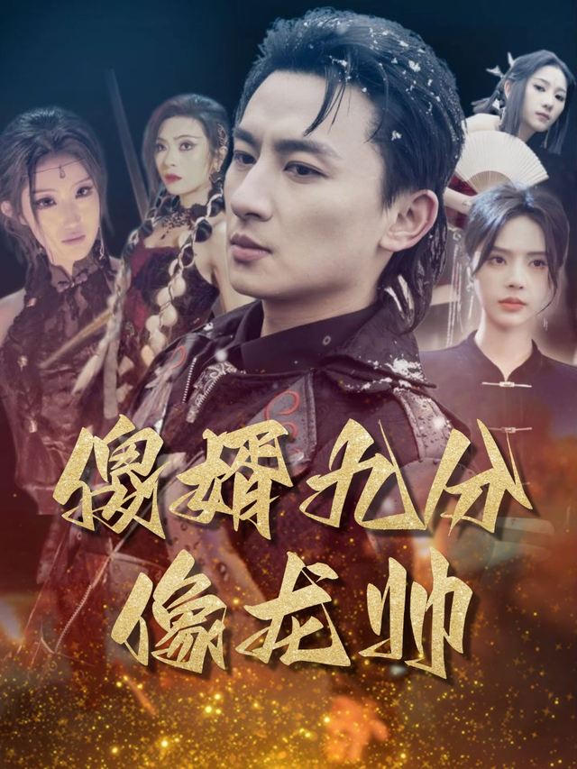 傻婿九分像龙帅封面