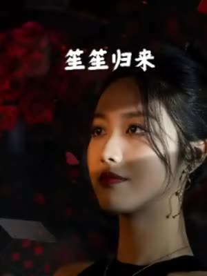 笙笙归来封面