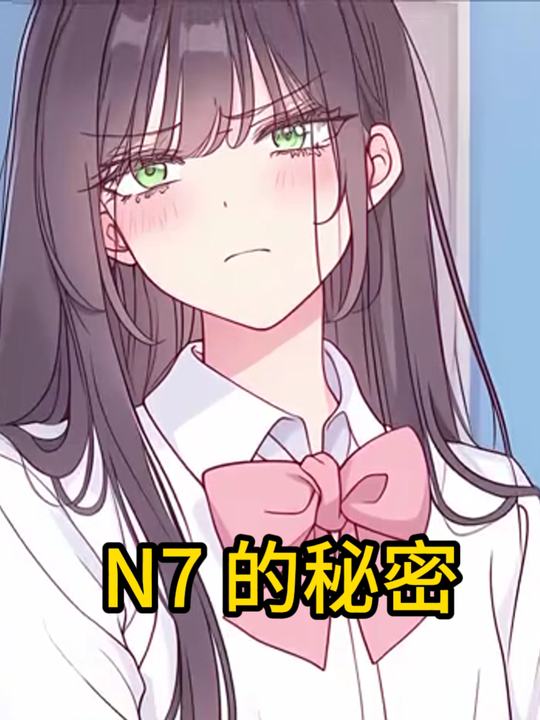 N7 的秘密封面