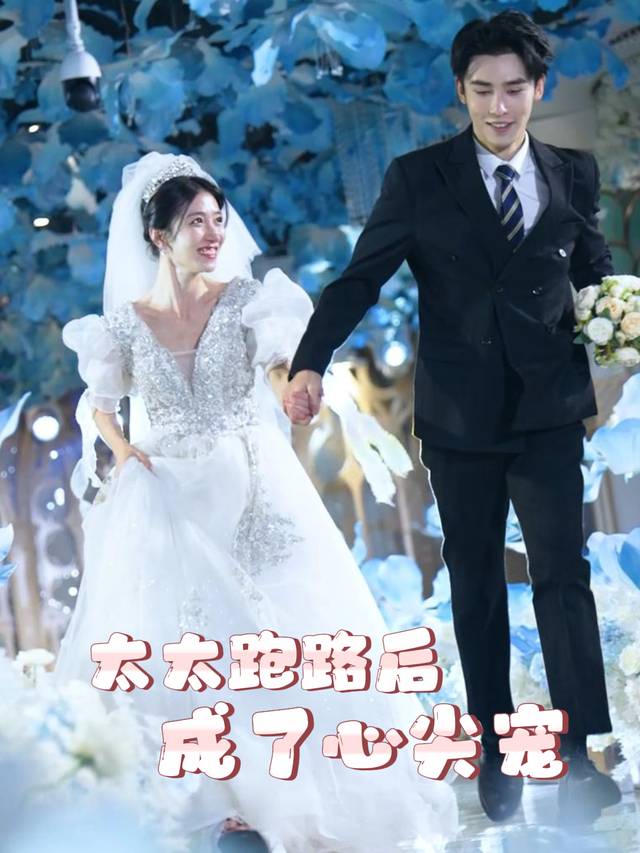 太太跑路后成了心尖宠封面