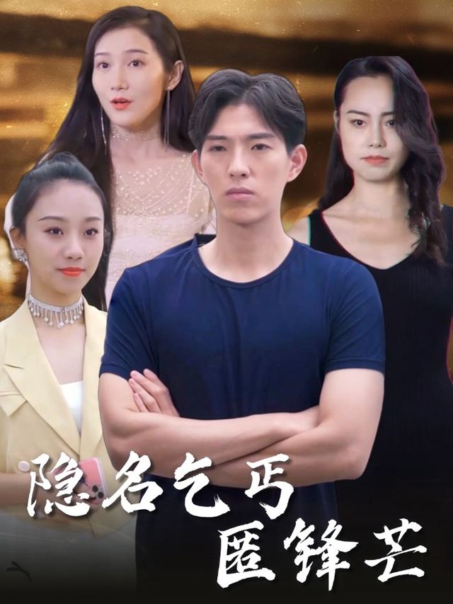 隐名乞丐匿锋芒封面