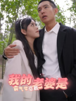我的老婆是霸气女总裁封面