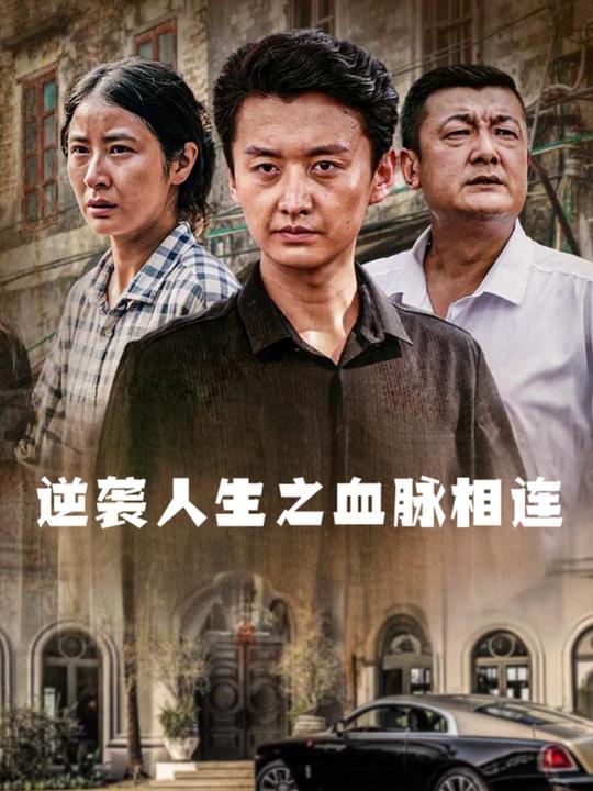 逆袭人生之血脉相连封面