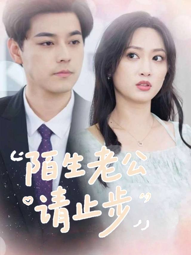 陌生老公请止步封面